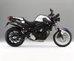BMW F 800 R в виде реплики Криса Пфайфера